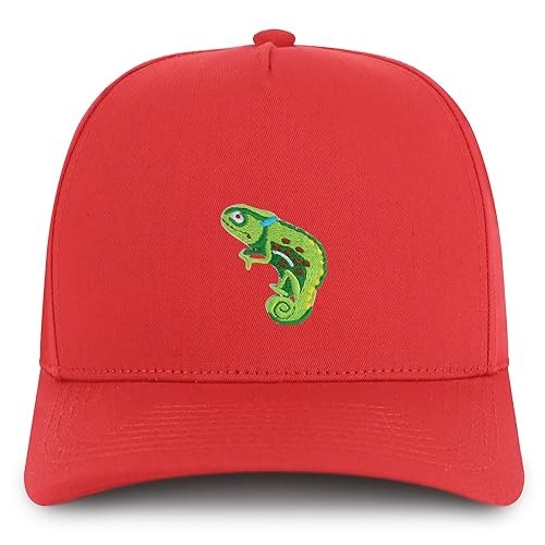 AP0176-NIS-GNV-007-RED
