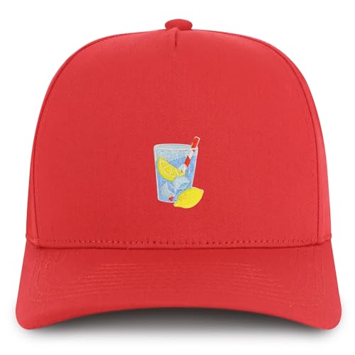 AP0200-NIS-GNV-007-RED