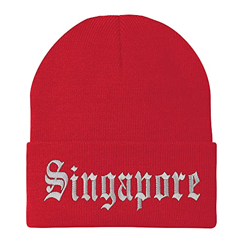 Trendy Apparel Shop Singapore Old English Embroidered Long Cuff Beanie