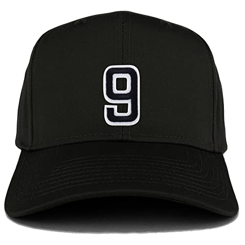 AP0086-27-079-BLK