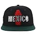 Trendy Apparel Shop Mexico Guadalupe Embroidered Flat Bill Snapback Cap