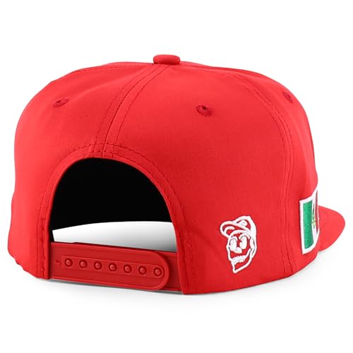 Trendy Apparel Shop Mexico Guadalupe Embroidered Flat Bill Snapback Cap