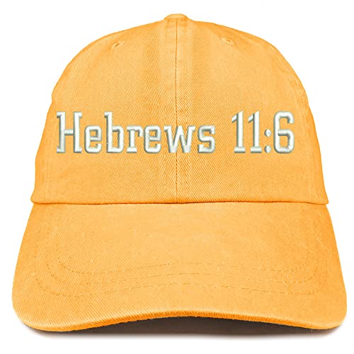 Trendy Apparel Shop Hebrew 11:6 Washed Pigment Dyed Baseball Cap