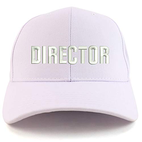 Trendy Apparel Shop Director Embroidered Sturctured Baseball Cap
