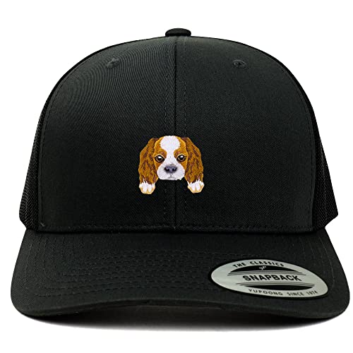 AP0007-FLX-6606-BLK