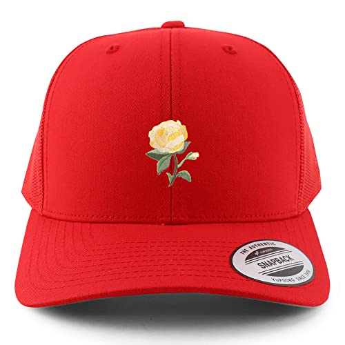 AP0027-FLX-6606-RED