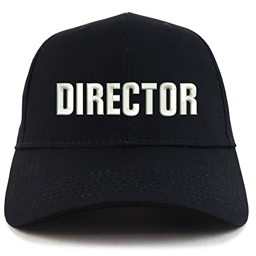 Trendy Apparel Shop Director Embroidered Sturctured Baseball Cap