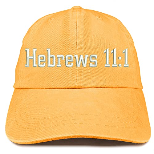 Trendy Apparel Shop Hebrews 11:1 Washed Pigment Dyed Baseball Cap