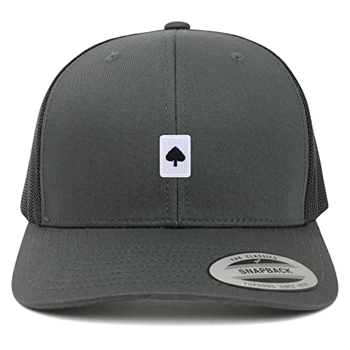 AP0076-FLX-6606-CHA