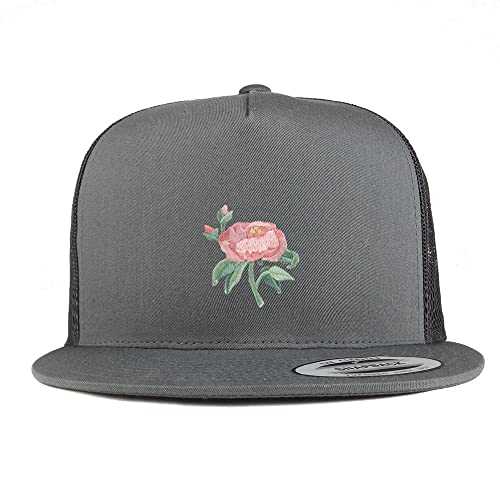 AP0023-FLX-6006-CHA
