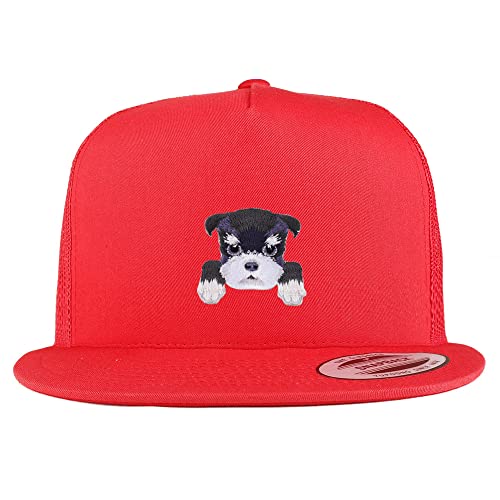 AP0005-FLX-6006-RED