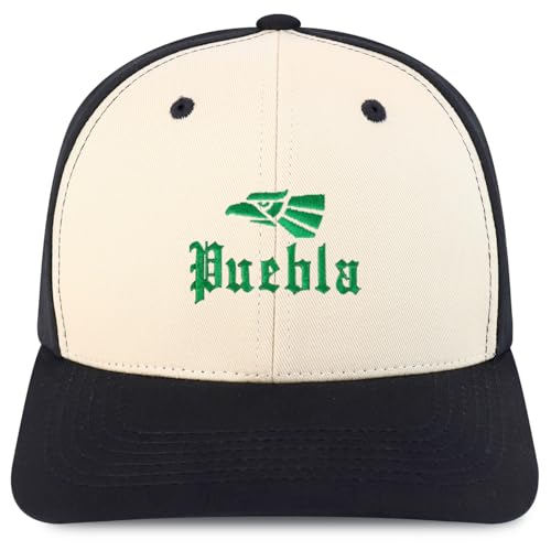 Trendy Apparel Shop Puebla Mexico City Embroidered 6 Panel Snapback Baseball Cap
