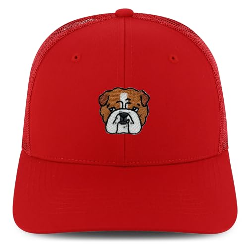 AP0201-NIS-GNV-003M-RED