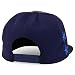 Trendy Apparel Shop Central America States Embroidered Mesh Back Flat Bill Cap