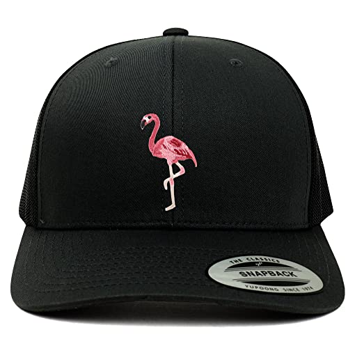 AP0041-FLX-6606-BLK