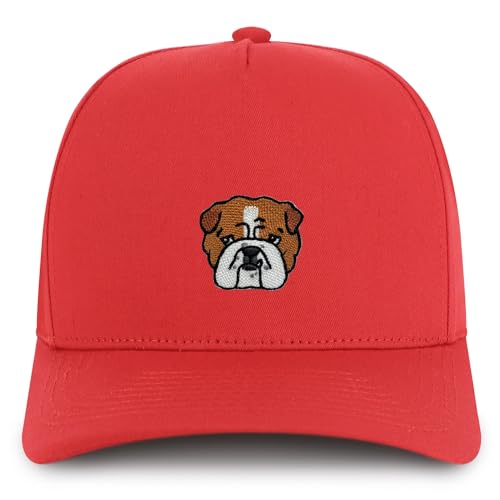 AP0201-NIS-GNV-007-RED