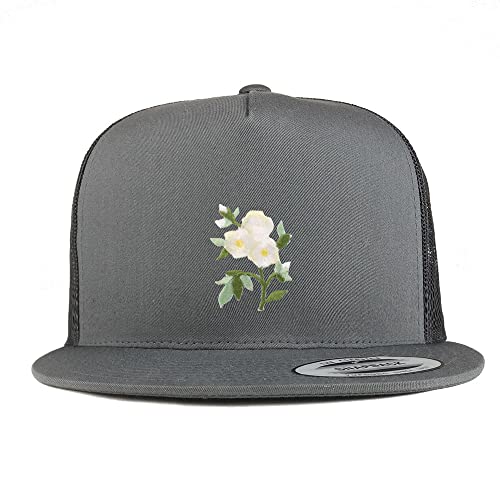 AP0026-FLX-6006-CHA