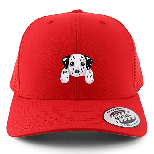 AP0012-FLX-6606-RED