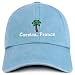Trendy Apparel Shop Corsica France with Palm Tree Embroidered Pigment Dyed Cotton Baseball Cap