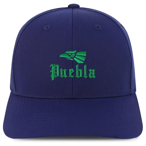 Trendy Apparel Shop Puebla Mexico City Embroidered 6 Panel Snapback Baseball Cap
