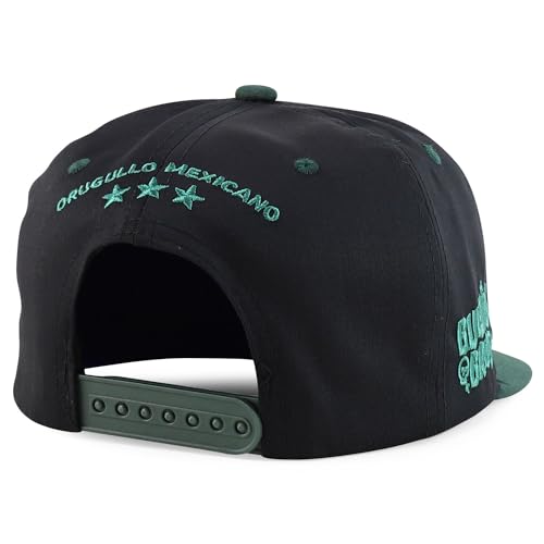 Trendy Apparel Shop 3D Mexico Embroidered Structured Flat Bill Snapback Cap