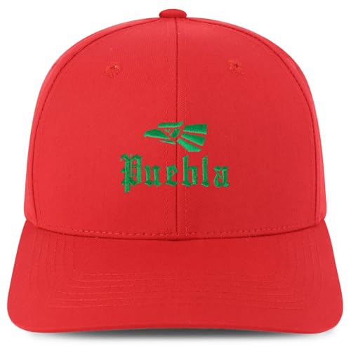 Trendy Apparel Shop Puebla Mexico City Embroidered 6 Panel Snapback Baseball Cap