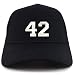 Trendy Apparel Shop Number 42 Collegiate Varsity Embroidered Sturctured Ball Cap