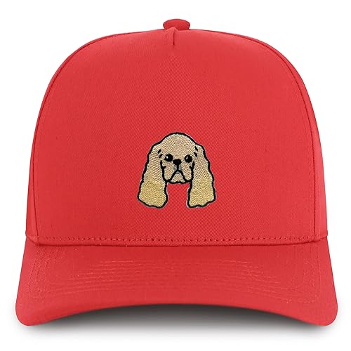 AP0179-NIS-GNV-007-RED