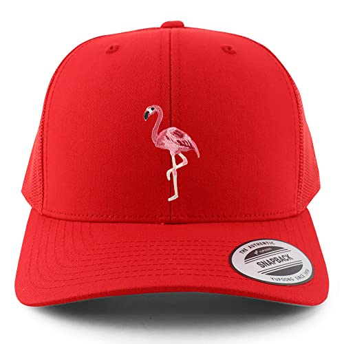 AP0041-FLX-6606-RED