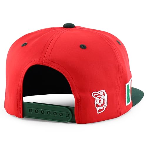 Trendy Apparel Shop Mexico Guadalupe Embroidered Flat Bill Snapback Cap