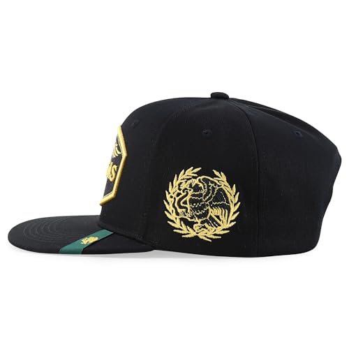 Trendy Apparel Shop Mexico States with Eagle Embroidered Flatbill Snapback Cap