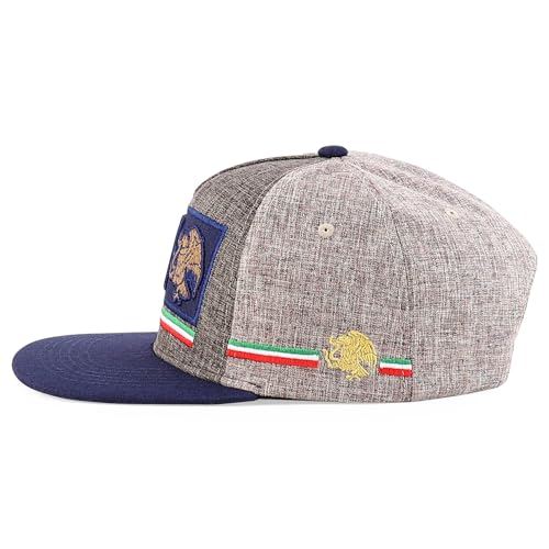 Trendy Apparel Shop MEX 3D Embroidered Flatbill Snapback Cap