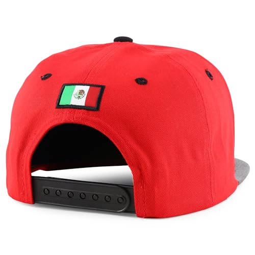 Trendy Apparel Shop 3D Gold Mexico Embroidered License Plate Theme Flatbill Snapback Cap