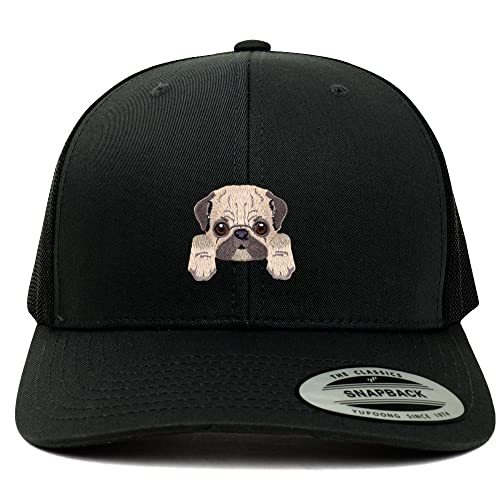 AP0013-FLX-6606-BLK
