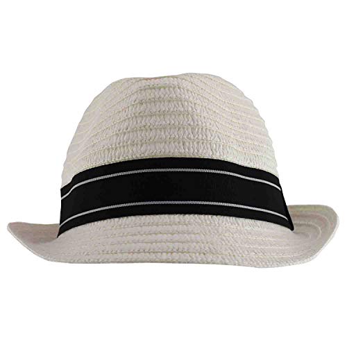 Trendy Apparel Shop Men's Paper Straw Woven Striped Band Stingy Fedora Hat