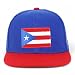 Trendy Apparel Shop Puerto Rico Embroidered Round Flat Bill Snapback Cap
