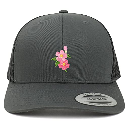 AP0024-FLX-6606-CHA