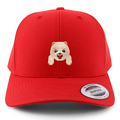 AP0020-FLX-6606-RED