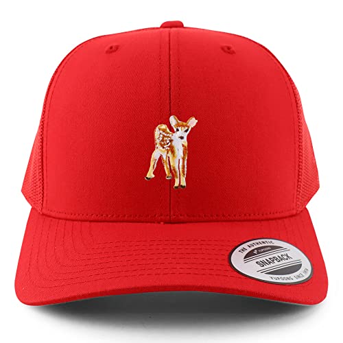AP0039-FLX-6606-RED