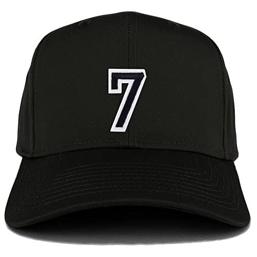 AP0084-27-079-BLK