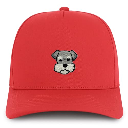 AP0196-NIS-GNV-007-RED