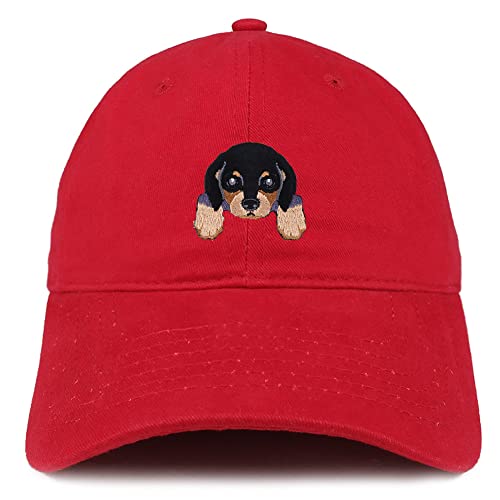 AP0010-SAN-CP77-RED