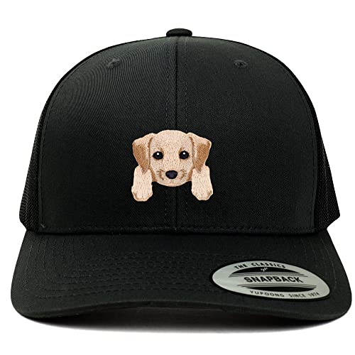 AP0011-FLX-6606-BLK
