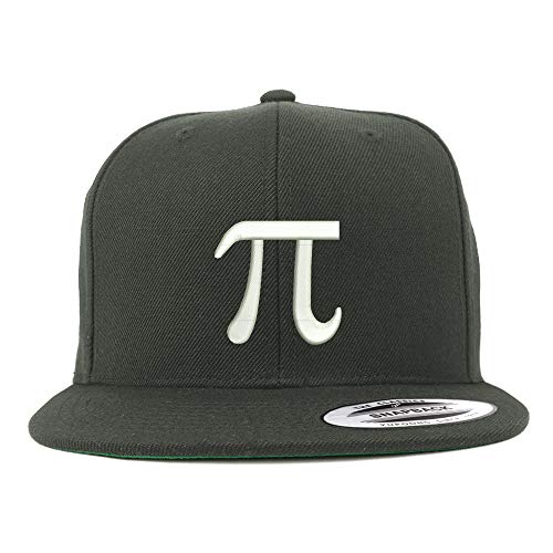 Trendy Apparel Shop Flexfit XXL PI Day Symbol Embroidered Structured Flatbill Snapback Cap