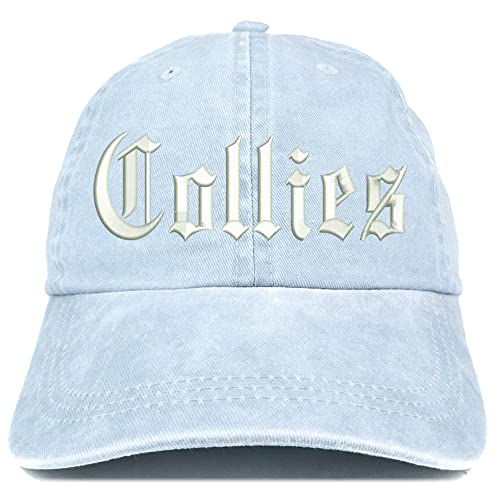 Trendy Apparel Shop Old English Collies Washed Pigment Dyed Baseball Cap