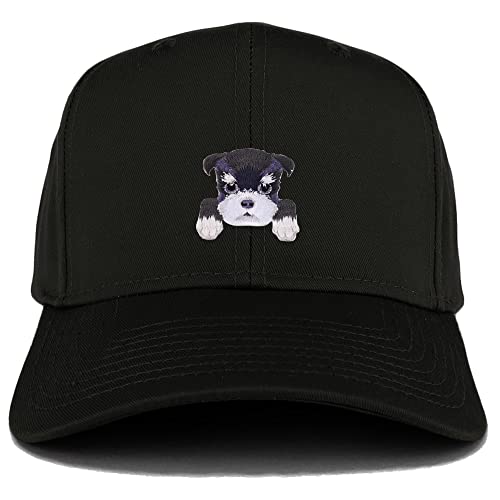 AP0005-27-079-BLK