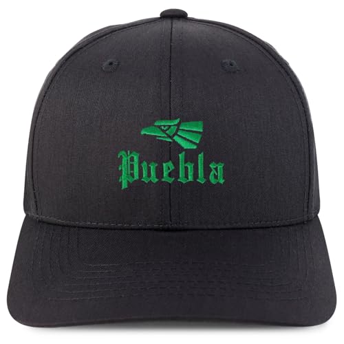 Trendy Apparel Shop Puebla Mexico City Embroidered 6 Panel Snapback Baseball Cap