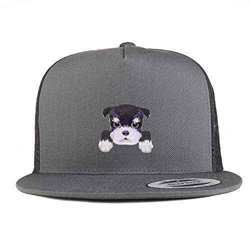 AP0005-FLX-6006-CHA