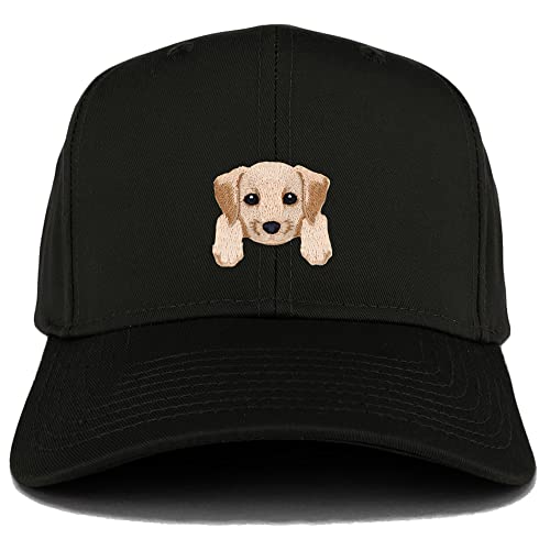 AP0011-27-079-BLK