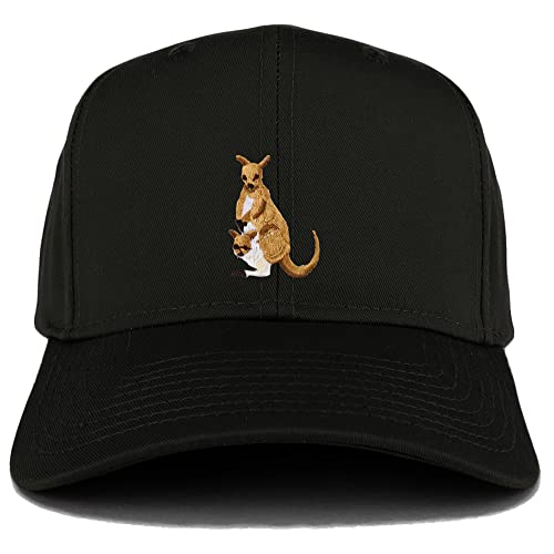 AP0042-27-079-BLK